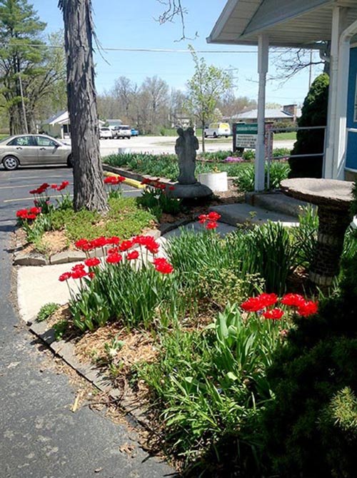Property photo 5 - REAL ESTATE AUCTION, Crossroads Flowers